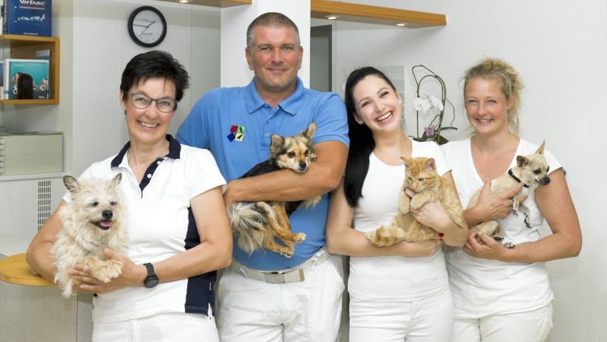 Unser Team
