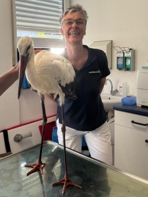 Zu Besuch bei Dr. Behncke